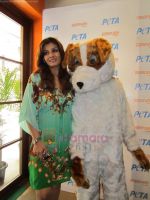 Raveena Tandon grace the PETA event to support Stray dogs in Zenzi on 5th July 2011 (39).JPG